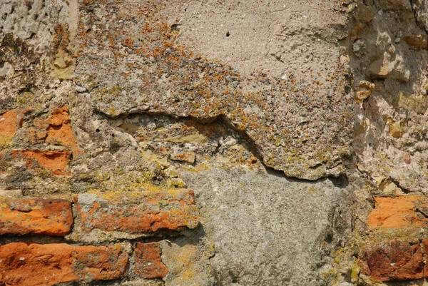 Eski duvar — Stok fotoğraf
