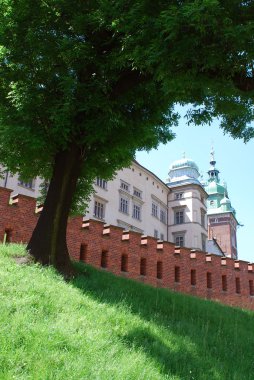 Cathedral at Wawel hill in Cracow clipart