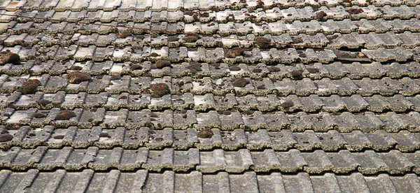 Çatı kiremit doku — Stok fotoğraf