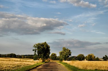 Ülke Yolu