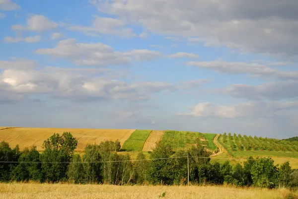 Сельскохозяйственный пейзаж — стоковое фото