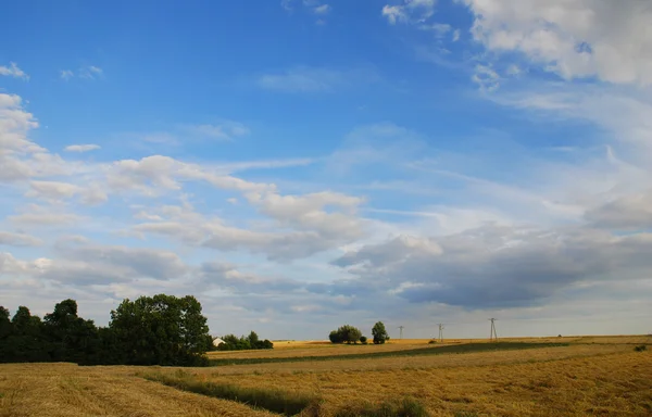 Agricultural landscape — Stock Photo, Image