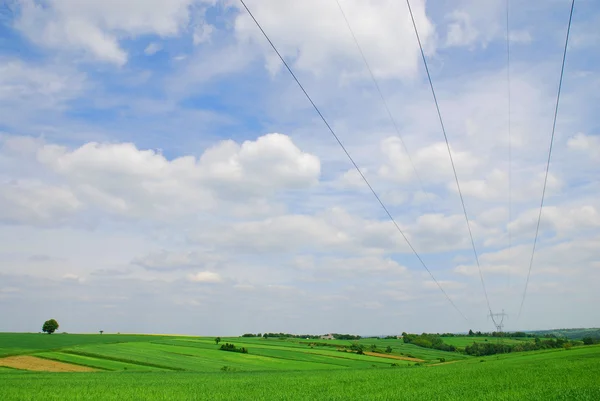 Lente landschap — Stockfoto