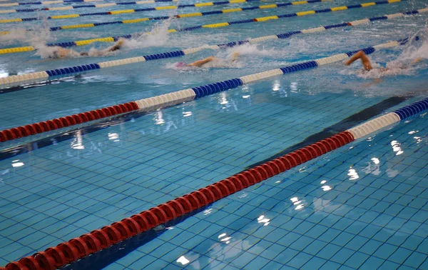 Carrera de natación —  Fotos de Stock