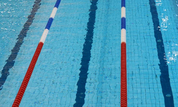 수영 경주 — 스톡 사진