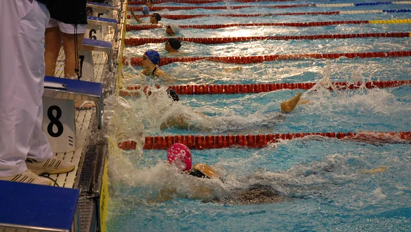 Carrera de natación Imagen de stock