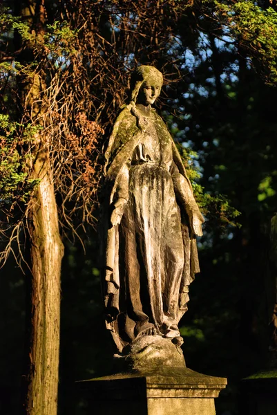 圣洁玛丽雕像 — 图库照片