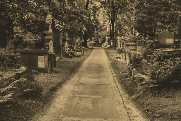 Antigua lápida en el cementerio de Rakowicki. Cracovia . — Foto de Stock