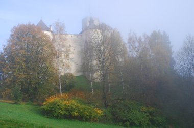 Castle in Niedzica. Poland clipart