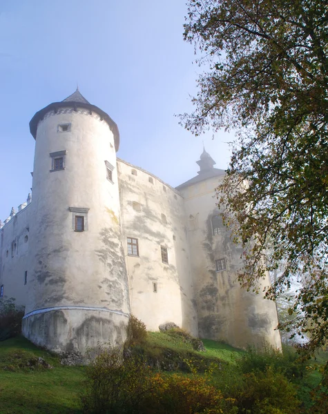 Замок в Недзице. Польша — стоковое фото
