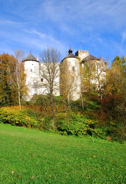 Castle Niedzica-ban. Lengyelország — Stock Fotó