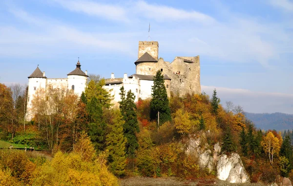 Замок Нідзіка. Польща — стокове фото
