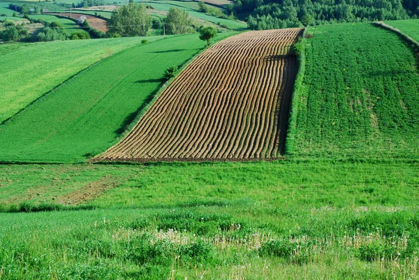 Paisaje agrícola — Foto de Stock