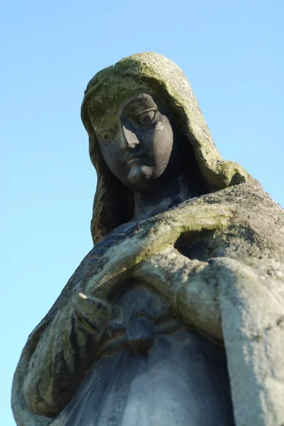 圣洁玛丽雕像 — 图库照片