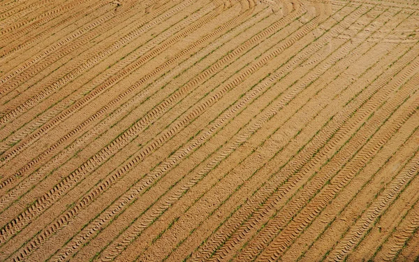Kahverengi toprak işleme arka plan — Stok fotoğraf