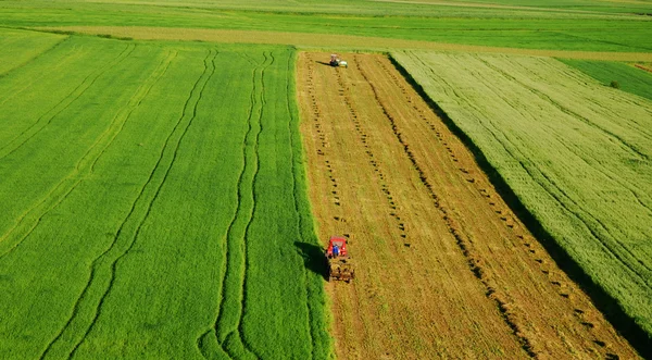 Vista aerea del prato verde — Foto Stock
