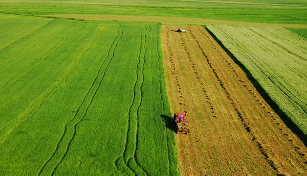 Vista aerea del prato verde — Foto Stock