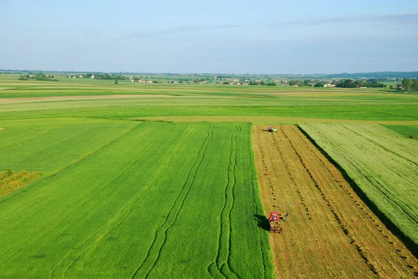 stock image Aerial view of green meadow