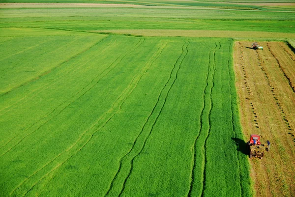 Вид с воздуха на зеленый луг — стоковое фото