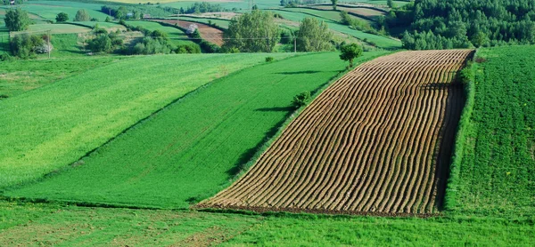 Agrarische landschap Rechtenvrije Stockfoto's