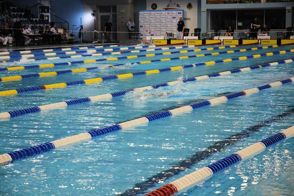 Carrera de natación — Foto de Stock