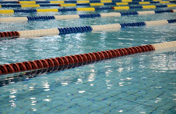 Yüzme yarışı — Stok fotoğraf