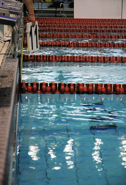 Swimming race — Stock Photo, Image