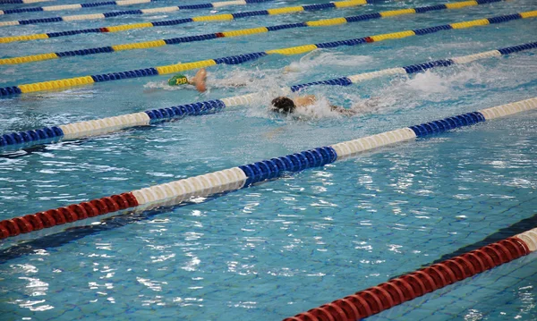 수영 경주 — 스톡 사진