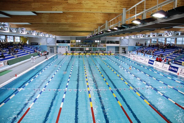 Wereldkampioenschappen zwemmen Stockafbeelding