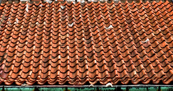 Telha em um telhado — Fotografia de Stock