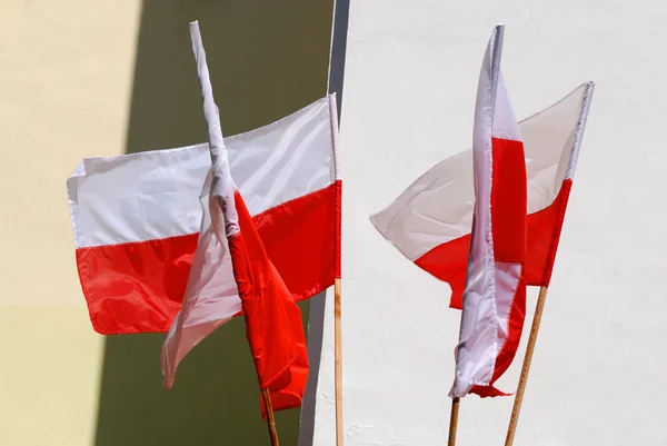Poolse vlag — Stockfoto