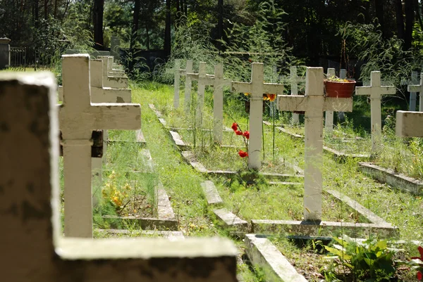 Cementerio militar — Foto de Stock