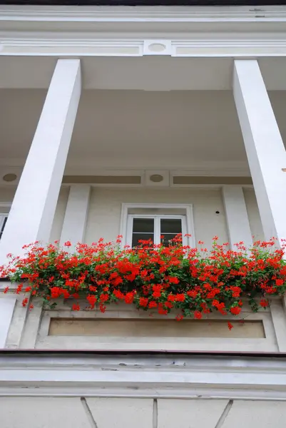 stock image Modern building