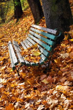 Sonbaharda şehir parkı