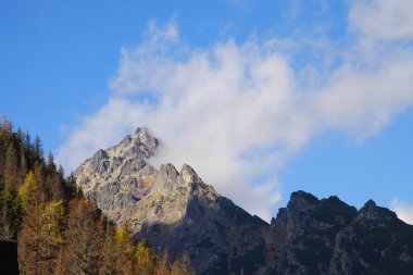 dolaylı ridge