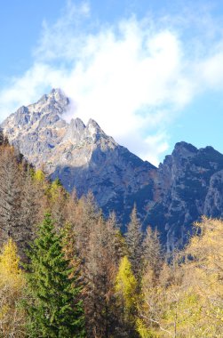 dolaylı ridge