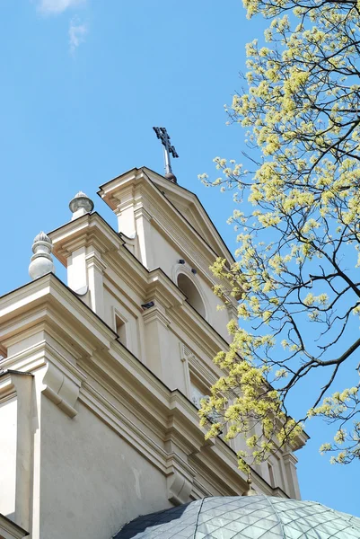 Katedralen i kielce. Polen — Stockfoto