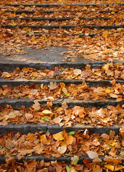 Outdoor stairway with yellow fallen leaves — Stock Photo, Image