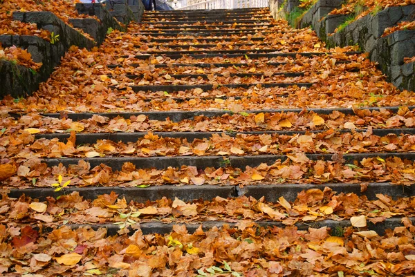 Kültéri lépcső, sárga lehullott levelek — Stock Fotó