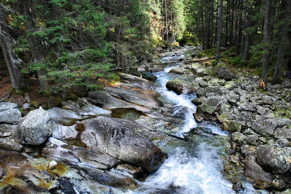 stock image Waterfalls