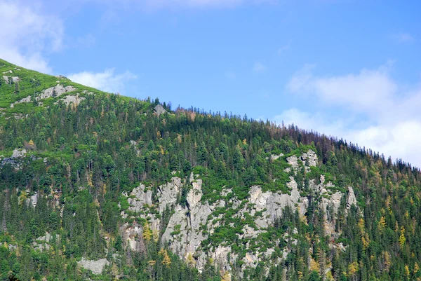 Mountains in Slovakia — Stock Photo, Image