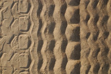 Tyre tracks on beach clipart