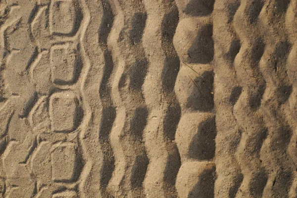 海滩上的轮胎痕迹 — 图库照片