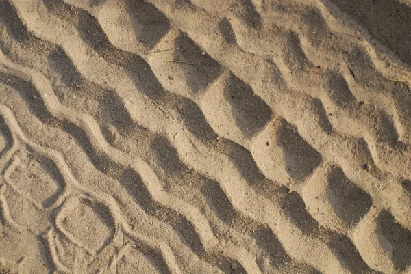 海滩上的轮胎痕迹 — 图库照片