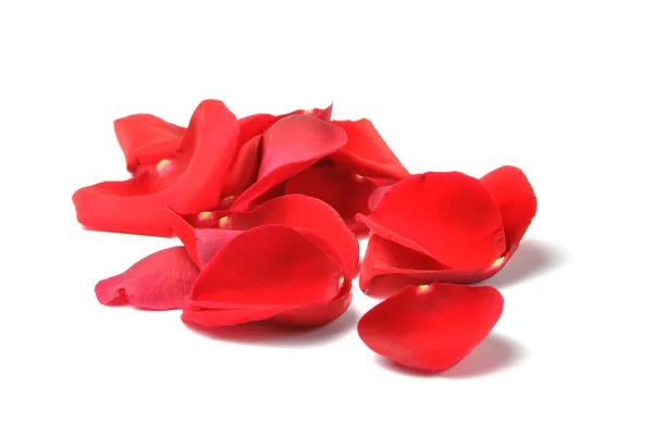Bloemblaadjes van een rode roos geïsoleerd — Stockfoto