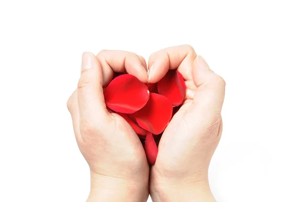 Coração feito de pétalas de rosa em uma mão — Fotografia de Stock