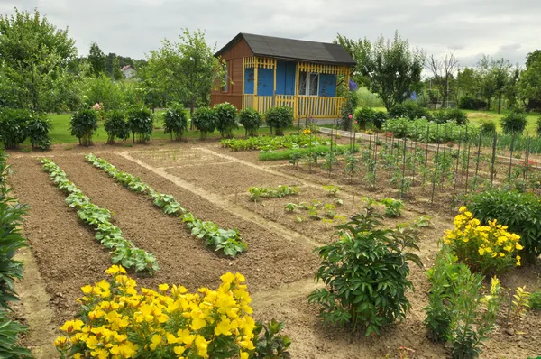 Domek i ogród warzywny — Zdjęcie stockowe