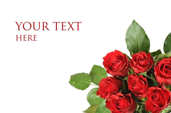 Bouquet di rose isolato — Foto Stock