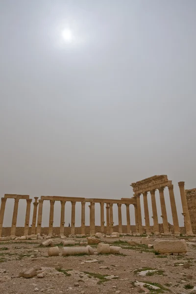 Ruins of ancient Palmyra — Stock Photo, Image