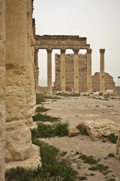 Eski palmyra Suriye kalıntıları — Stok fotoğraf